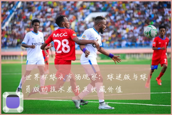 世界杯球衣市场观察:球迷版与球员版的技术差异及收藏价值