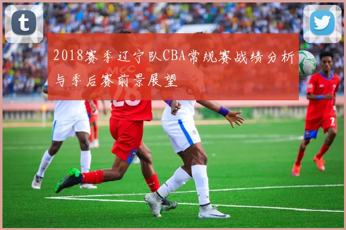 2018赛季辽宁队CBA常规赛战绩分析与季后赛前景展望