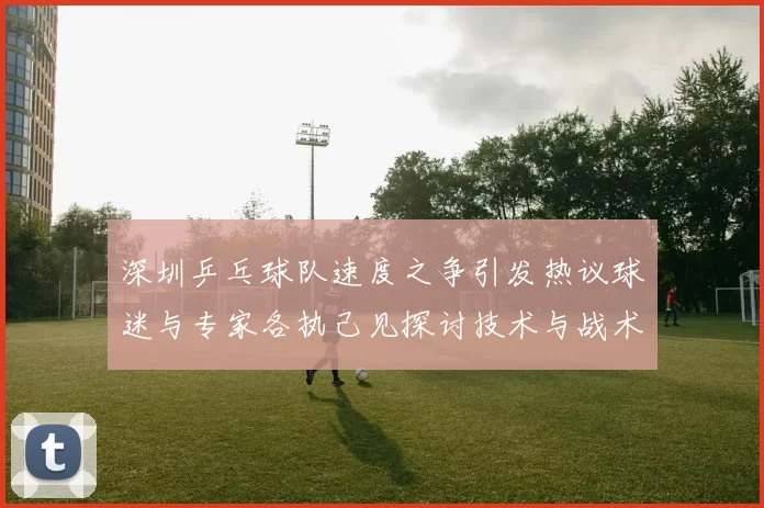 深圳乒乓球队速度之争引发热议球迷与专家各执己见探讨技术与战术