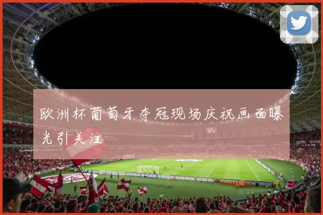 欧洲杯葡萄牙夺冠现场庆祝画面曝光引关注