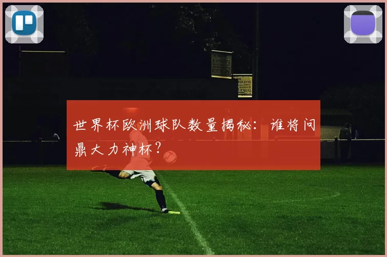 世界杯欧洲球队数量揭秘：谁将问鼎大力神杯？
