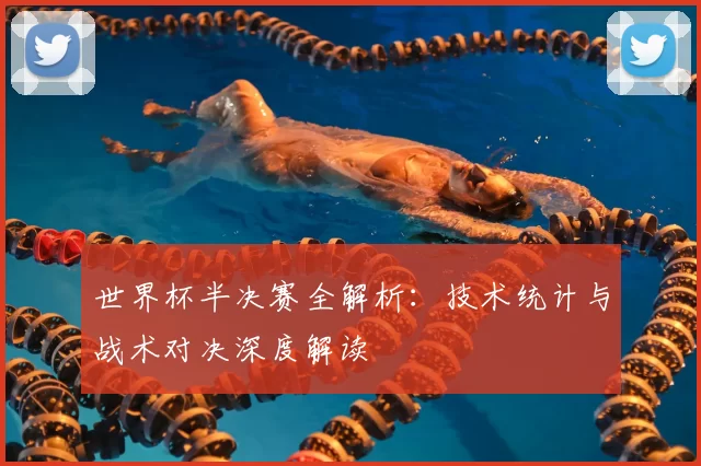世界杯半决赛全解析：技术统计与战术对决深度解读