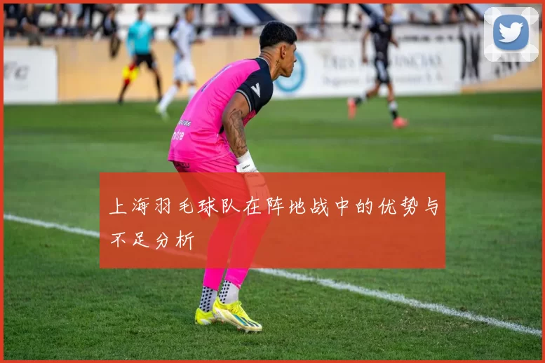 上海羽毛球队在阵地战中的优势与不足分析