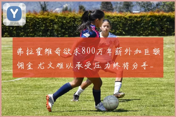 弗拉霍维奇欲求800万年薪外加巨额佣金 尤文难以承受压力终将分手_续约_欧元_米兰