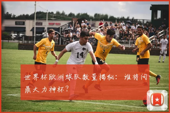世界杯欧洲球队数量揭秘：谁将问鼎大力神杯？