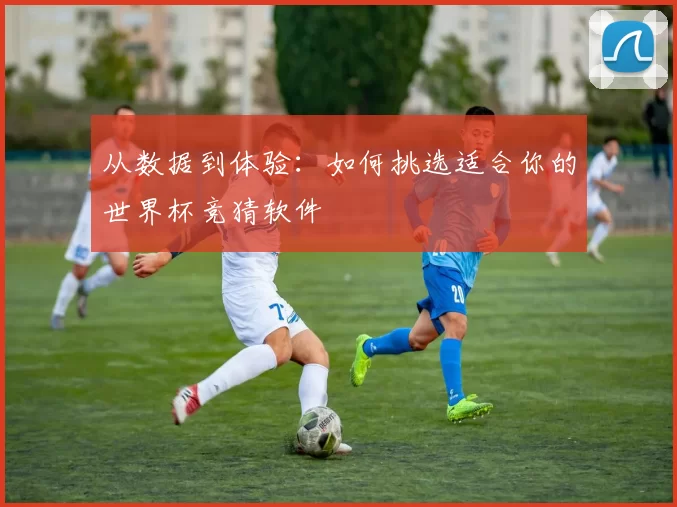 从数据到体验：如何挑选适合你的世界杯竞猜软件
