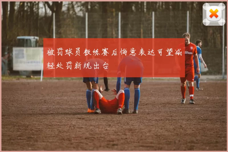 被罚球员教练赛后悔意表达可望减轻处罚新规出台