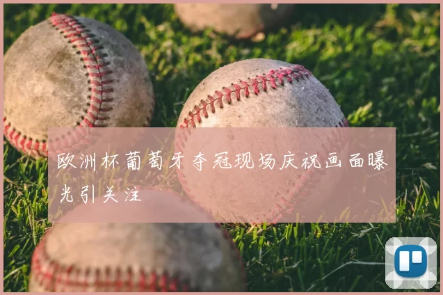 欧洲杯葡萄牙夺冠现场庆祝画面曝光引关注