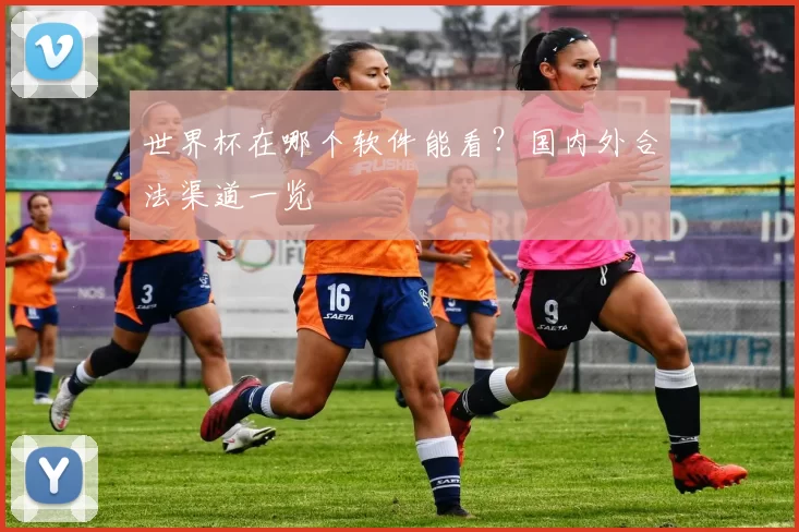世界杯在哪个软件能看?国内外合法渠道一览