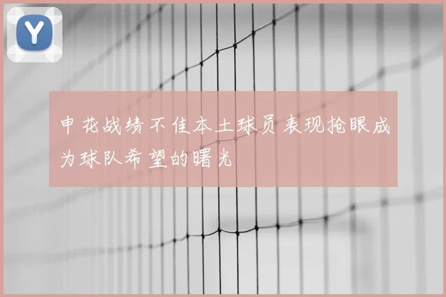 申花战绩不佳本土球员表现抢眼成为球队希望的曙光