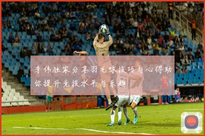 李伟独家分享羽毛球技巧与心得助你提升竞技水平与乐趣