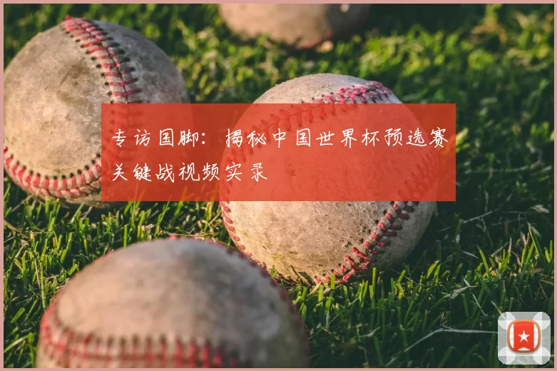 专访国脚:揭秘中国世界杯预选赛关键战视频实录
