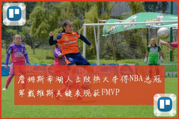 詹姆斯率湖人击败热火夺得NBA总冠军戴维斯关键表现获FMVP