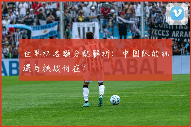 世界杯名额分配解析：中国队的机遇与挑战何在？