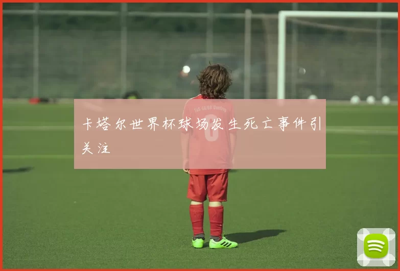 卡塔尔世界杯球场发生死亡事件引关注
