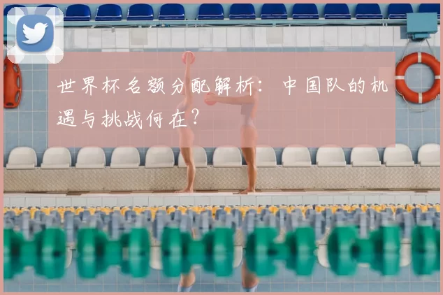 世界杯名额分配解析:中国队的机遇与挑战何在?